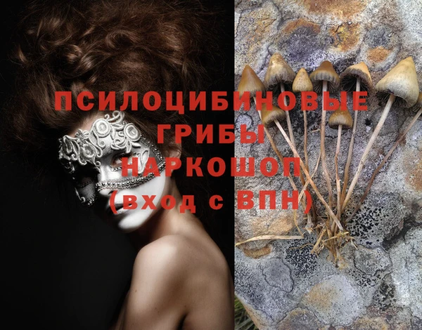 гидропоника Алзамай