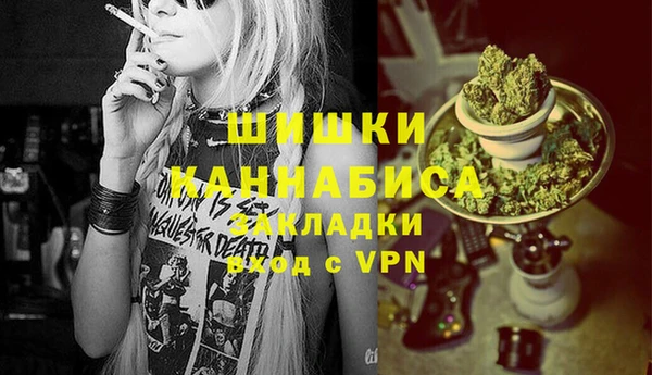 ешки Арсеньев