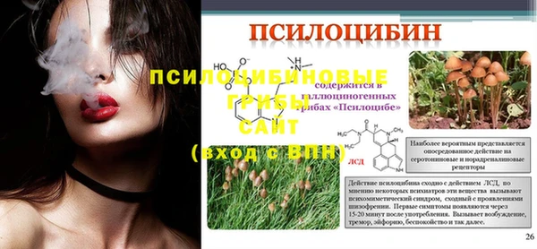 гидропоника Алзамай