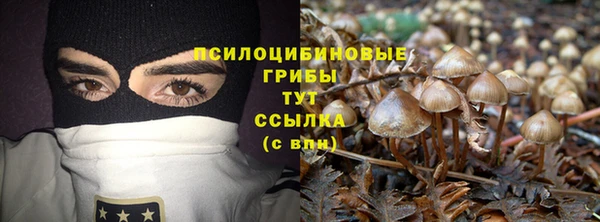 стаф Алексин
